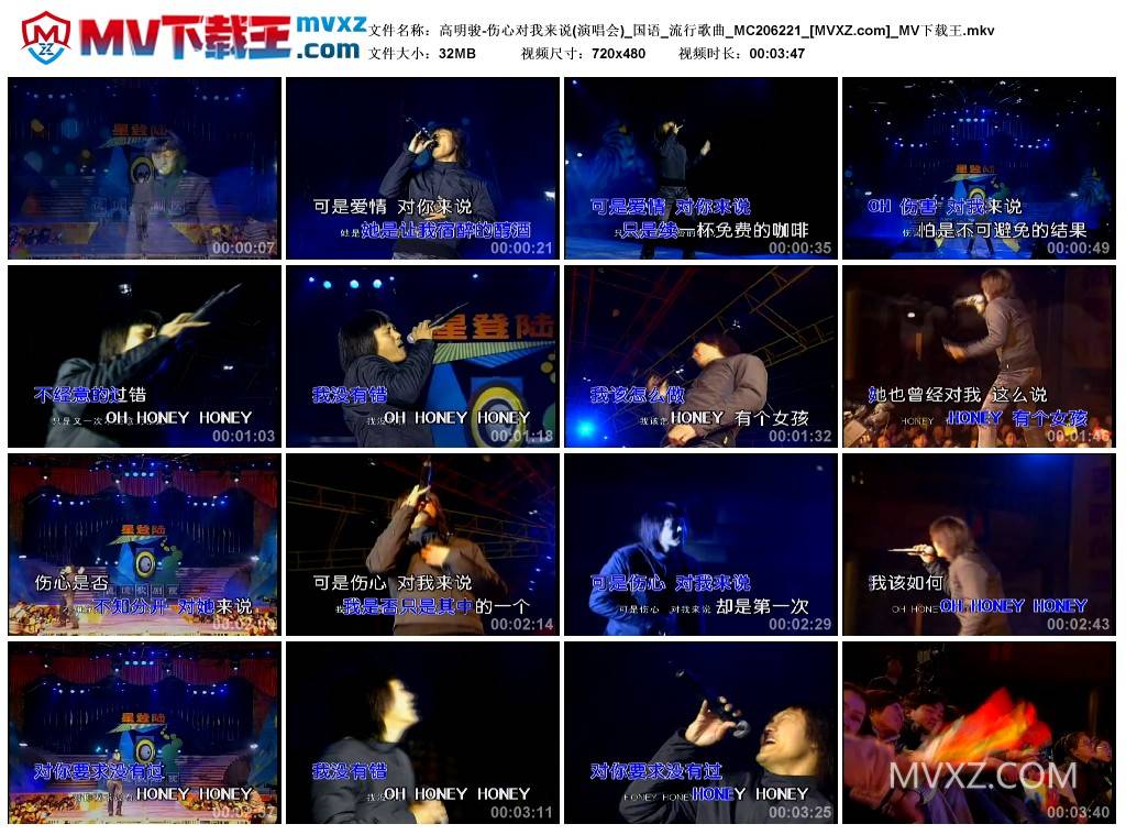 高明骏-伤心对我来说(演唱会)_国语_流行歌曲_MC206221
